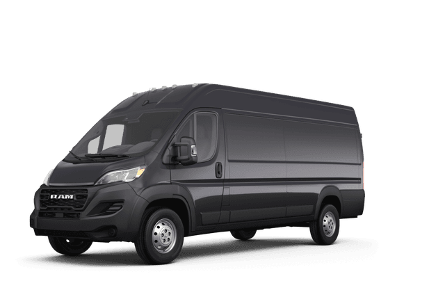 Ram false - Front view Ram false - Front view